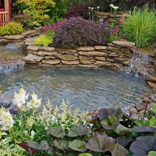 Ponds and Water Features in Horsham